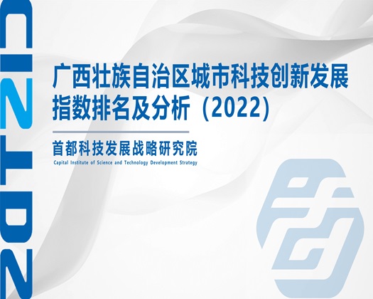 抽插哦哦白虎【成果发布】广西壮族自治区城市科技创新发展指数排名及分析（2022）